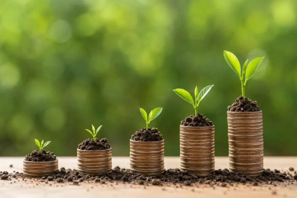 How Organic Traffic Growth Builds Long-Term Results